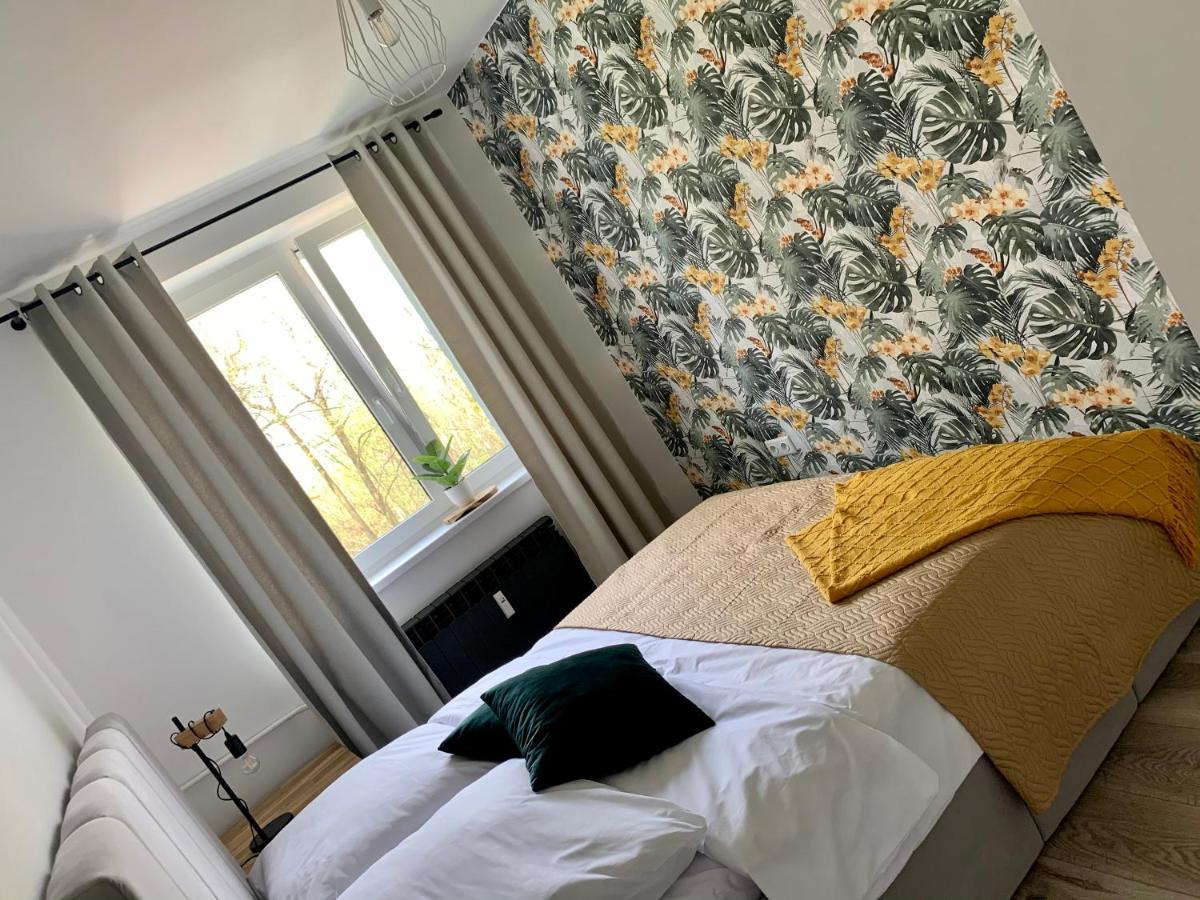 Apartament Forest Green Świeradów-Zdrój Eksteriør billede