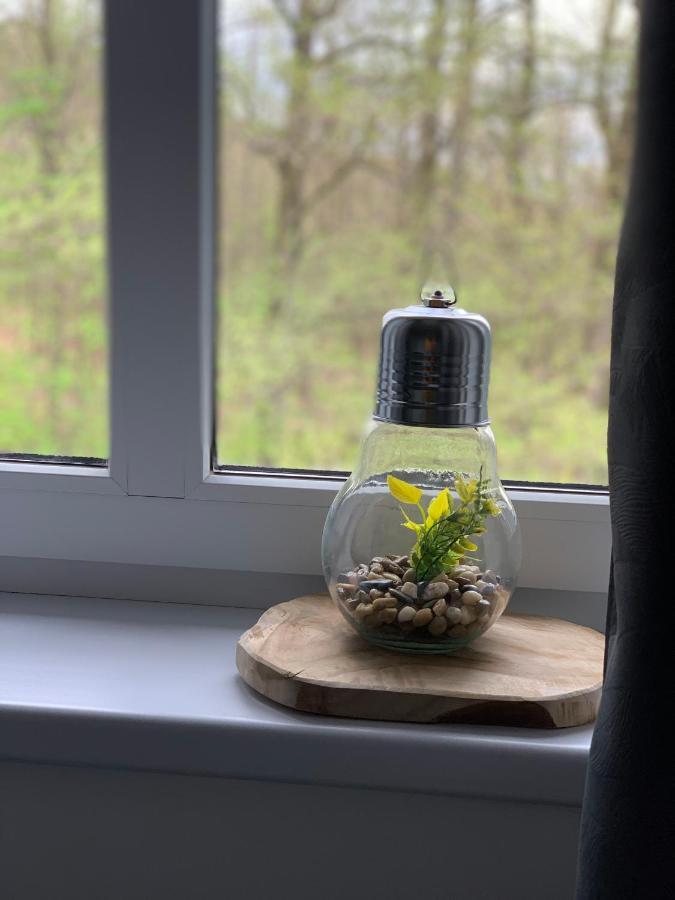 Apartament Forest Green Świeradów-Zdrój Eksteriør billede