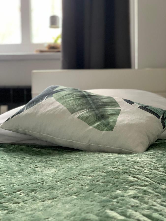 Apartament Forest Green Świeradów-Zdrój Eksteriør billede