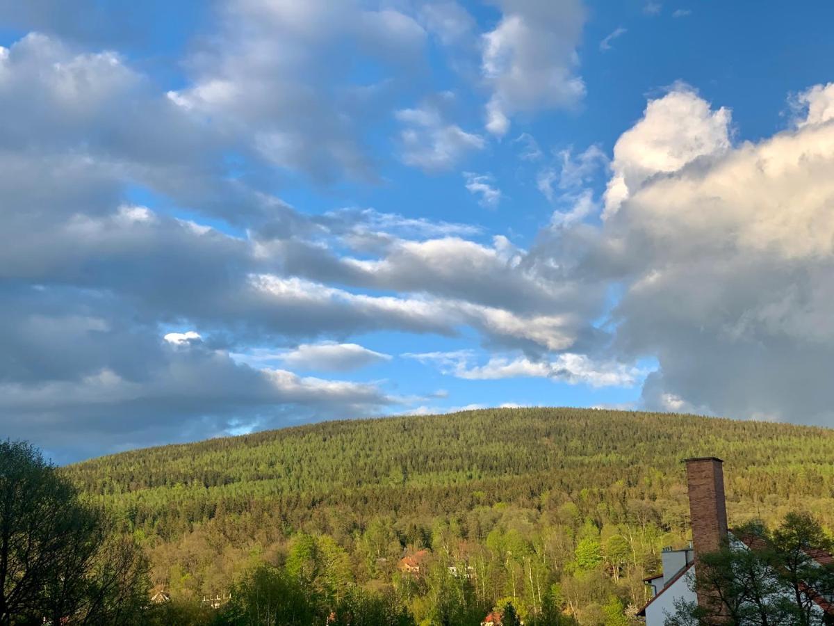 Apartament Forest Green Świeradów-Zdrój Eksteriør billede